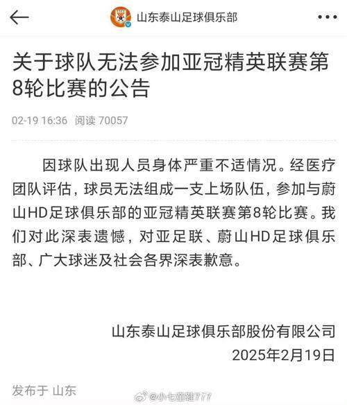 亚足联：山东泰山因亚冠退赛被禁赛两年并罚款